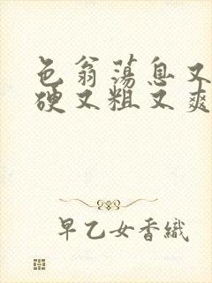 色翁荡息又大又硬又粗又爽电影