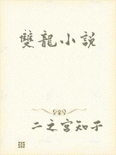 双龙小说
