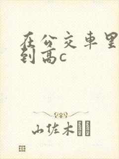 在公交车里c弄到高c