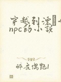 穿越到湮婸世界npc的小说