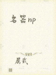 名器np