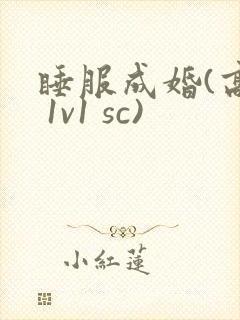 睡服成婚(高h 1v1 sc)