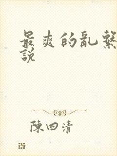 最爽的乱系列小说