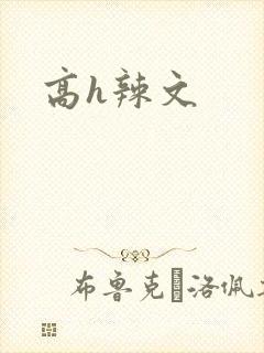 高h辣文