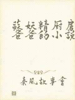 苏妖精厨房爹爹爸爸的小说