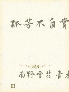 孤芳不自赏小说