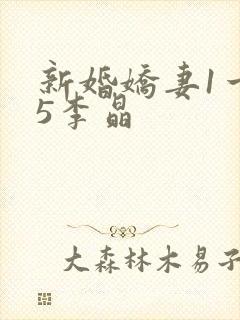新婚娇妻1一25李晶