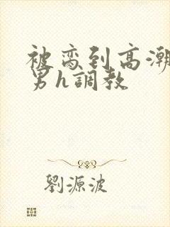 被脔到高潮的直男h调教