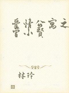 爱情公寓之极品曾小贤