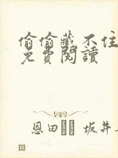 偷偷藏不住小说免费阅读