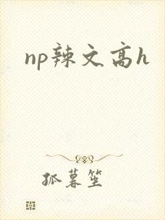 np辣文高h