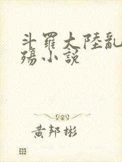 斗罗大陆乱世浮殇小说