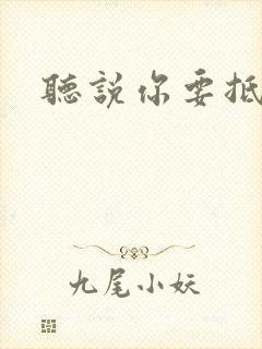 听说你要抵抗我