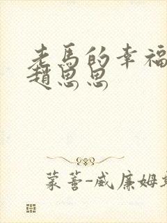 老马的幸福生活赵思思