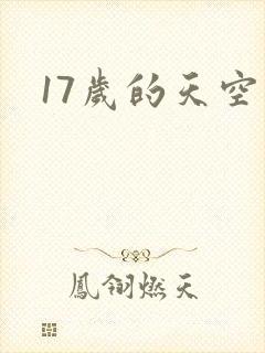 17岁的天空