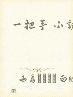 一把手 小说