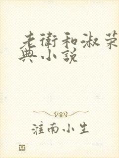 老卫和淑荣的经典小说