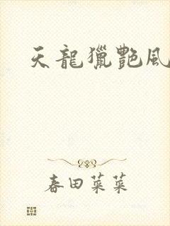 天龙猎艳风流