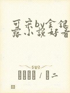 可宋by金银花露小说好看吗