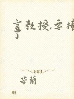 言教授,要撞坏了