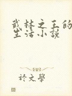 武林之王的退隐生活小说