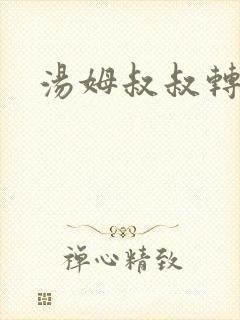 汤姆叔叔转接口