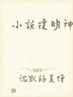 小说琼明神女录