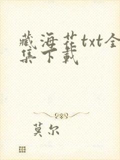 藏海花txt全集下载