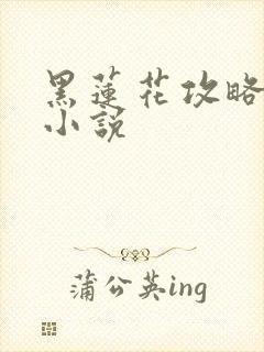 黑莲花攻略手册小说