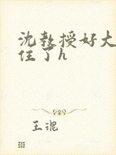 沈教授好大含不住了h