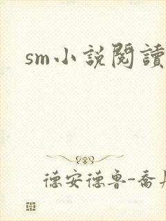 sm小说阅读