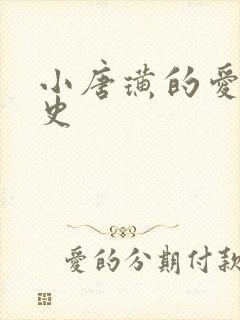 小唐璜的爱情历史