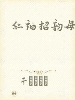 红袖招韵母攻略