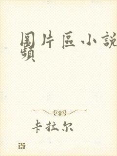 图片区小说区视频