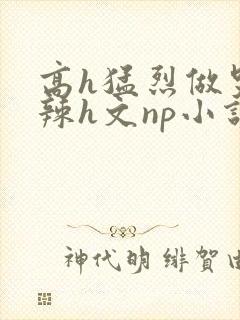 高h猛烈做哭高辣h文np小说