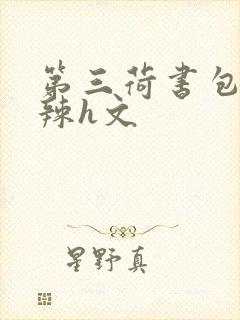 第三荷书包网高辣h文