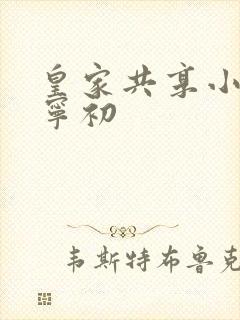 皇家共享小公主宁初