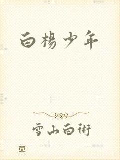 白杨少年