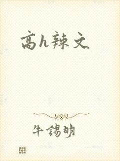 高h辣文