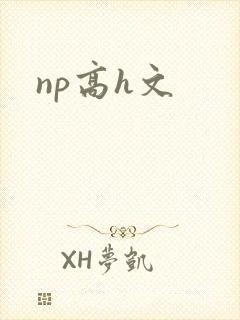 np高h文