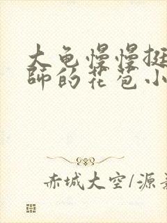 大龟慢慢挺进老师的花苞小说