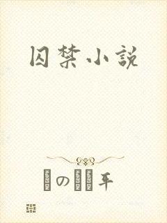 囚禁小说