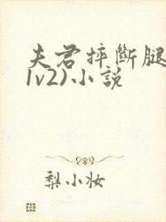 夫君摔断腿后(1v2)小说