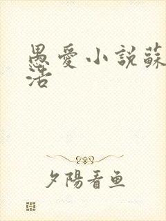 愚爱小说苏倩孙浩