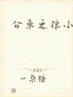 公车之狼小说