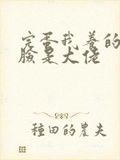 完蛋我养的小白脸是大佬