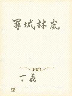 罪城林岚