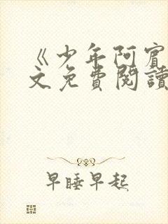 《少年阿宾》全文免费阅读