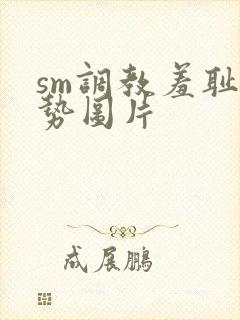 sm调教羞耻姿势图片