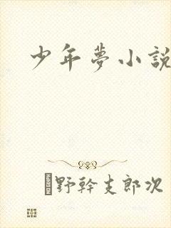 少年梦小说